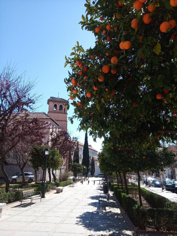 Apartamento Cueva La Taracea Appartement Granada Buitenkant foto